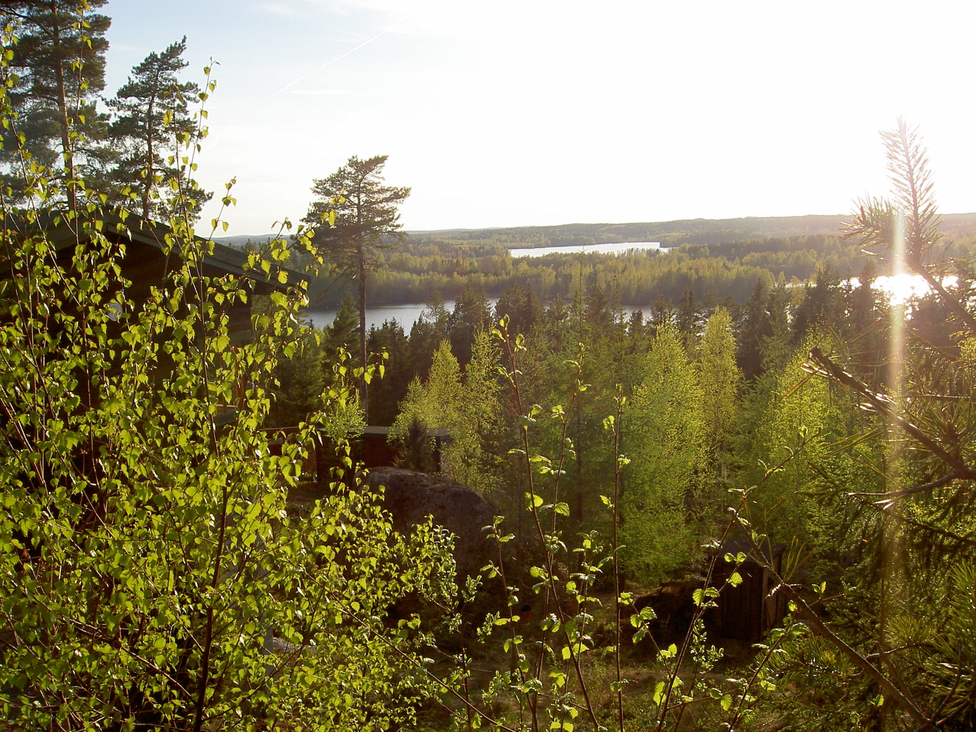 Se uppgifterna om din egen skog