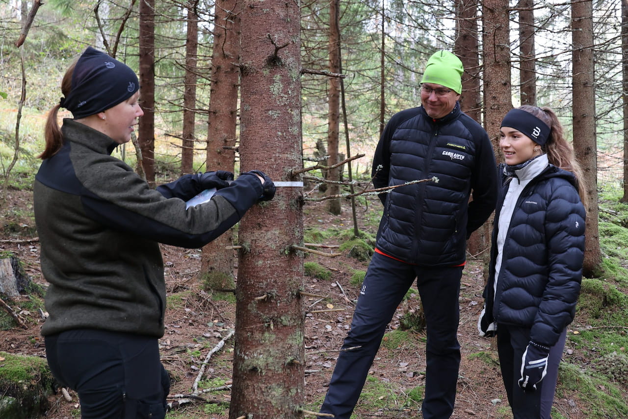 Ammattilaisen näkemys kiinnostaa, vaikka metsäasiat ovatkin tuttuja – Oiva Kähärä hakee tietoa ja mielipiteitä monipuolisesti